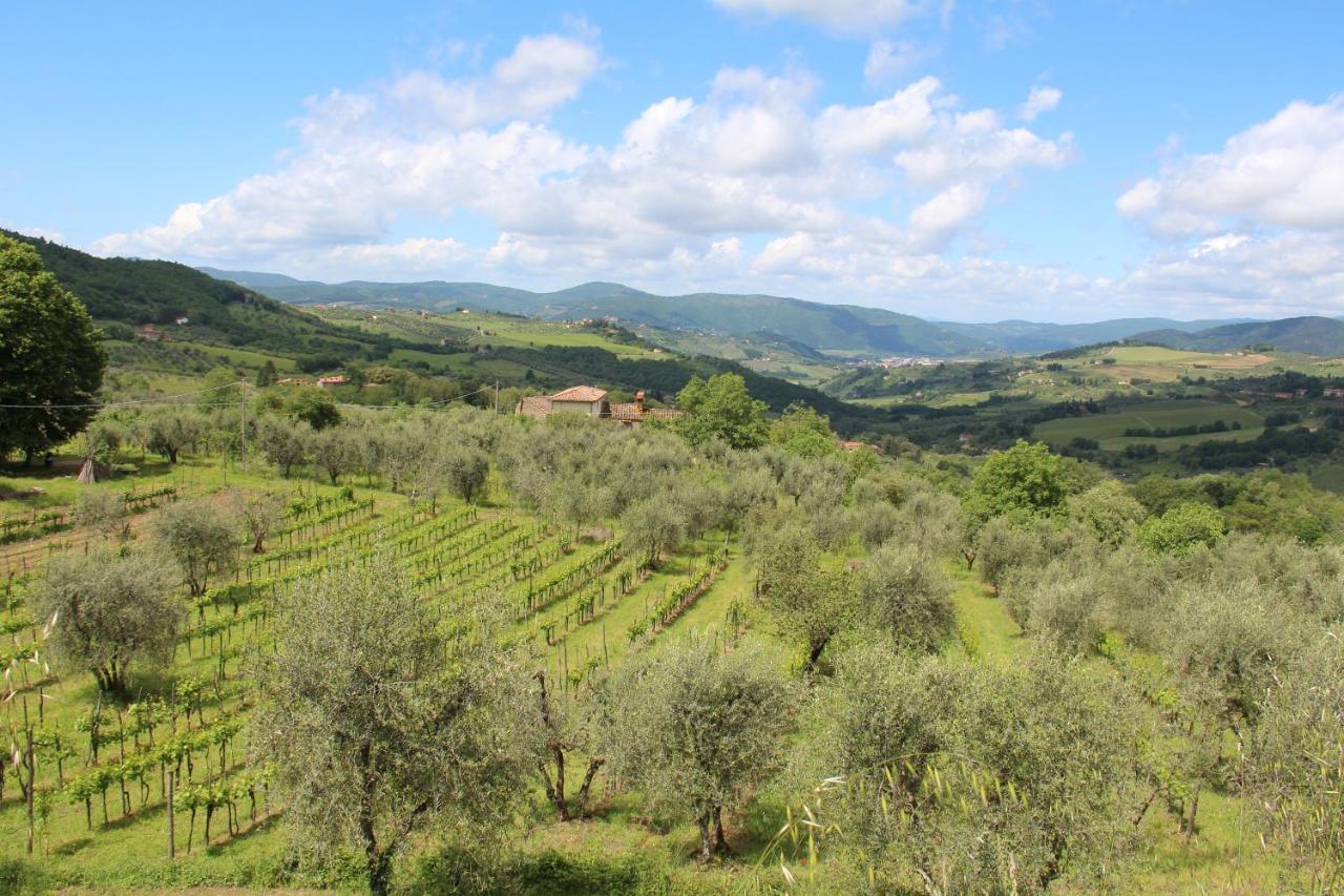 Fattoria Di Caticciano, Elegante Affittacamere Relax E Natura Vicino Firenze Pelago Exterior photo